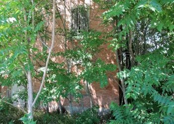 Rustico Calderara di Reno - foto 9