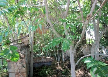 Rustico Calderara di Reno - foto 10