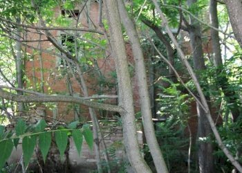 Rustico Calderara di Reno - foto 11