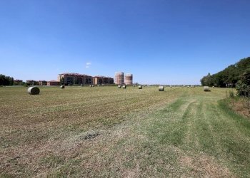 Rustico Calderara di Reno - foto 12