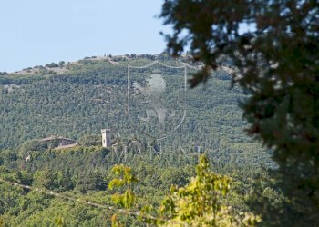 Rustico palazzone, San Casciano dei Bagni - foto 10