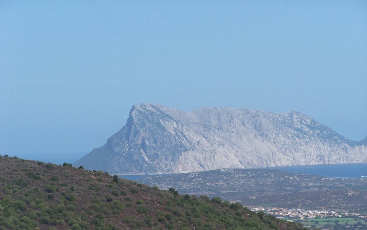Terreno agricolo Località terrapadedda, San Teodoro - foto 2