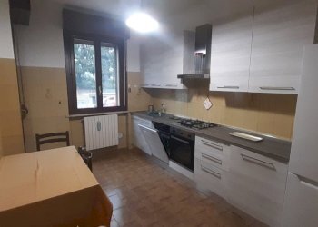 20230420_103601.jpg - Three-room apartment via Carreggia 11, Cardano al Campo - photo 2