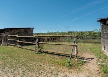 Farmhouse Via Chiappere, 5, Barge - photo 23