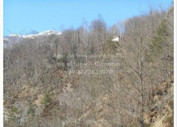 Rustico Valle Cannobina - foto 3