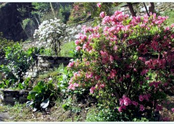 Villa Valle Cannobina - foto 6