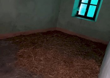 Casa semi indipendente Via Roma, Snc, Sanfront - foto 6