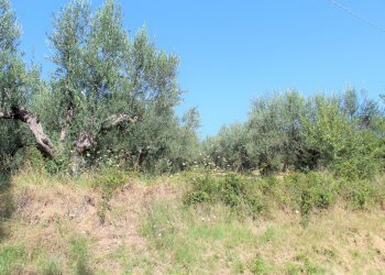 IMG_7412.JPG - Terratetto - Terracielo Contrada Fontanelle 19, Lanciano - foto 14