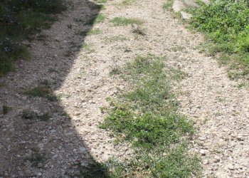 IMG_7411.JPG - Terratetto - Terracielo Contrada Fontanelle 19, Lanciano - foto 15