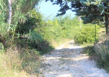 IMG_7415.JPG - Terratetto - Terracielo Contrada Fontanelle 19, Lanciano - foto 16