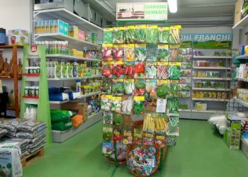 5b0425d811868.jpg - Alimentari - Gastronomia Via Sarzanese Nord, Viareggio - foto 1