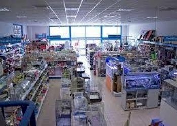 index.jpg - Alimentari - Gastronomia Via Sarzanese Nord, Viareggio - foto 6