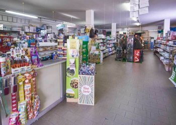 zooing-punto-vendita-fornacette-05.jpg - Alimentari - Gastronomia Via Sarzanese Nord, Viareggio - foto 10