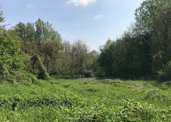 Rustico strada Marie, Bra - foto 5