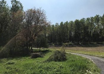 Rustico strada Marie, Bra - foto 6