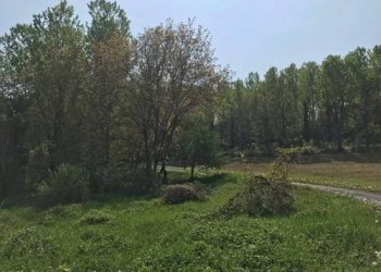 Rustico strada Marie, Bra - foto 7