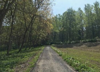 Rustico strada Marie, Bra - foto 8