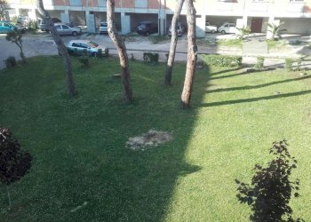 3f4b5ea691f4923515755a64df7ec83b.jpg - Appartamento Carrara - foto 12