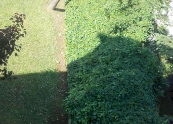 5d0262aabd9f3d775a65ced9f417e07d.jpg - Appartamento Carrara - foto 13