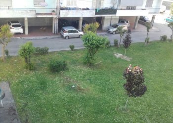 431aa9906262cfe19a7b93c5695c6af6.jpg - Appartamento Carrara - foto 14