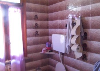 Capannone Russi - foto 10