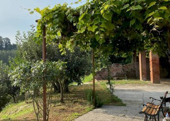 Cascina Frazione San Marzanotto, Asti - foto 4