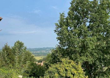 Cascina Frazione San Marzanotto, Asti - foto 5