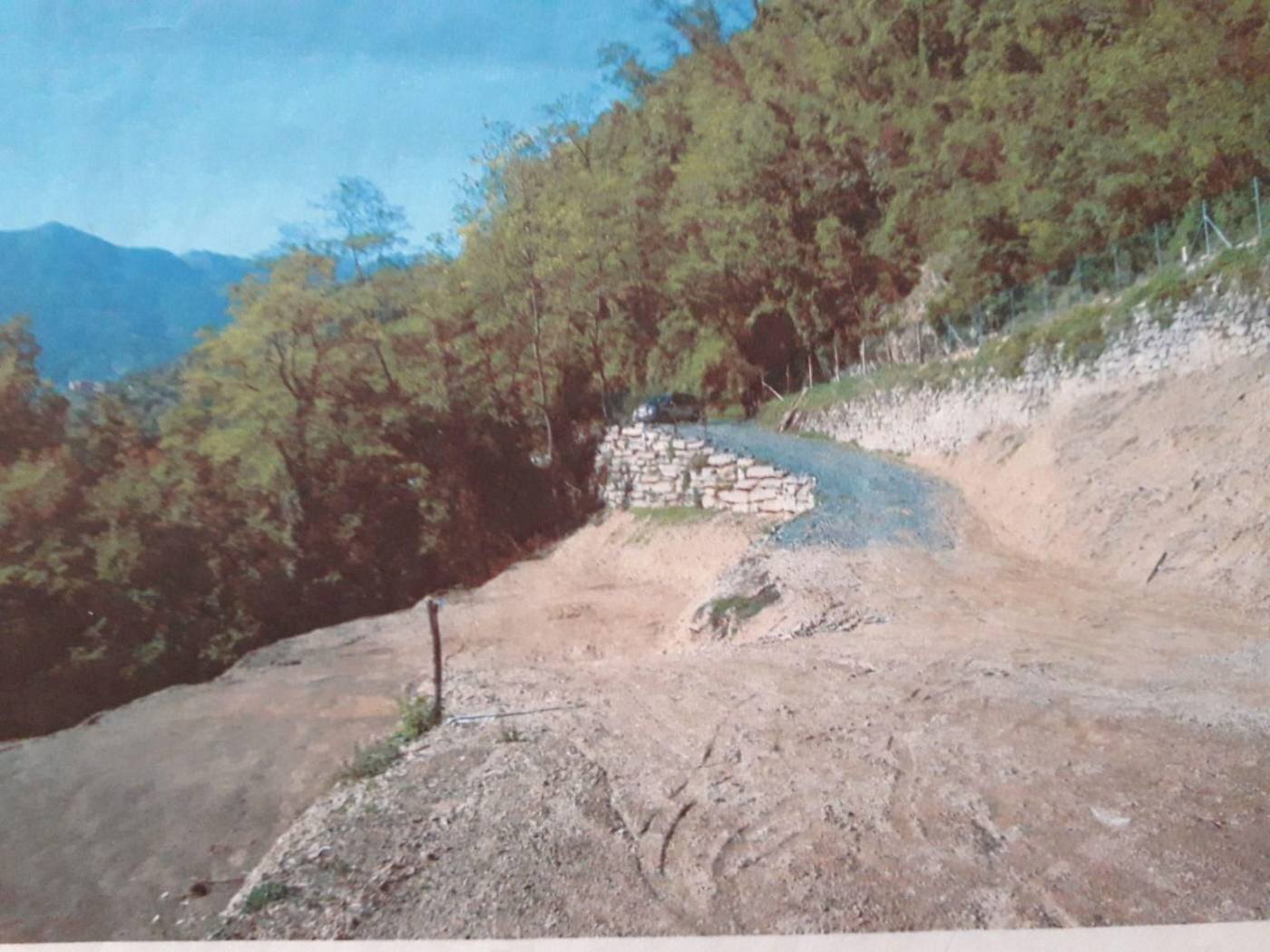 Agricultural land Borzonasca - photo 3