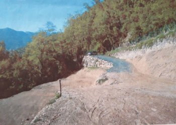 Terreno agricolo Borzonasca - foto 3