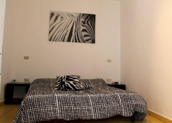 106517803_10220350411262253_2884935083675601345_o. - Appartamento Aulla - foto 4