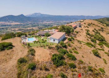 Azienda agricola Località irghittula, Posada - foto 4