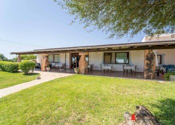 Azienda agricola Località irghittula, Posada - foto 5