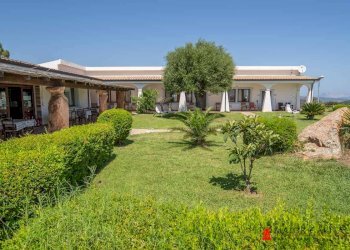 Azienda agricola Località irghittula, Posada - foto 7