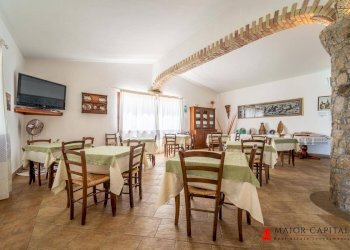 Azienda agricola Località irghittula, Posada - foto 9