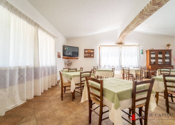 Azienda agricola Località irghittula, Posada - foto 11