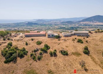 Azienda agricola Località irghittula, Posada - foto 29