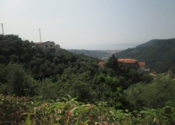 Villa Leivi - foto 23