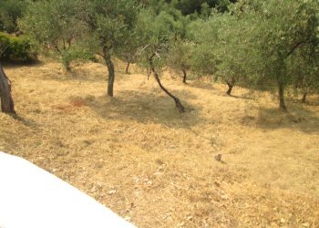 Villa Leivi - foto 26