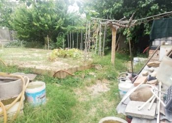 IMG_20200824_163855.jpg - Casa Colonica Castelbellino - foto 6