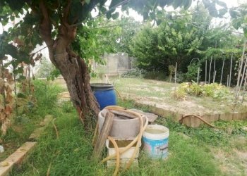 IMG_20200824_163857.jpg - Casa Colonica Castelbellino - foto 7