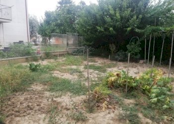 IMG_20200824_163912.jpg - Casa Colonica Castelbellino - foto 9