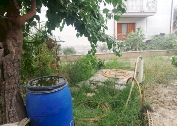 IMG_20200824_163913.jpg - Casa Colonica Castelbellino - foto 10