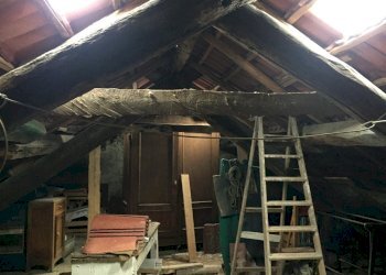 IMG_5535.JPG - Villa Trifamiliare Urbe - foto 27