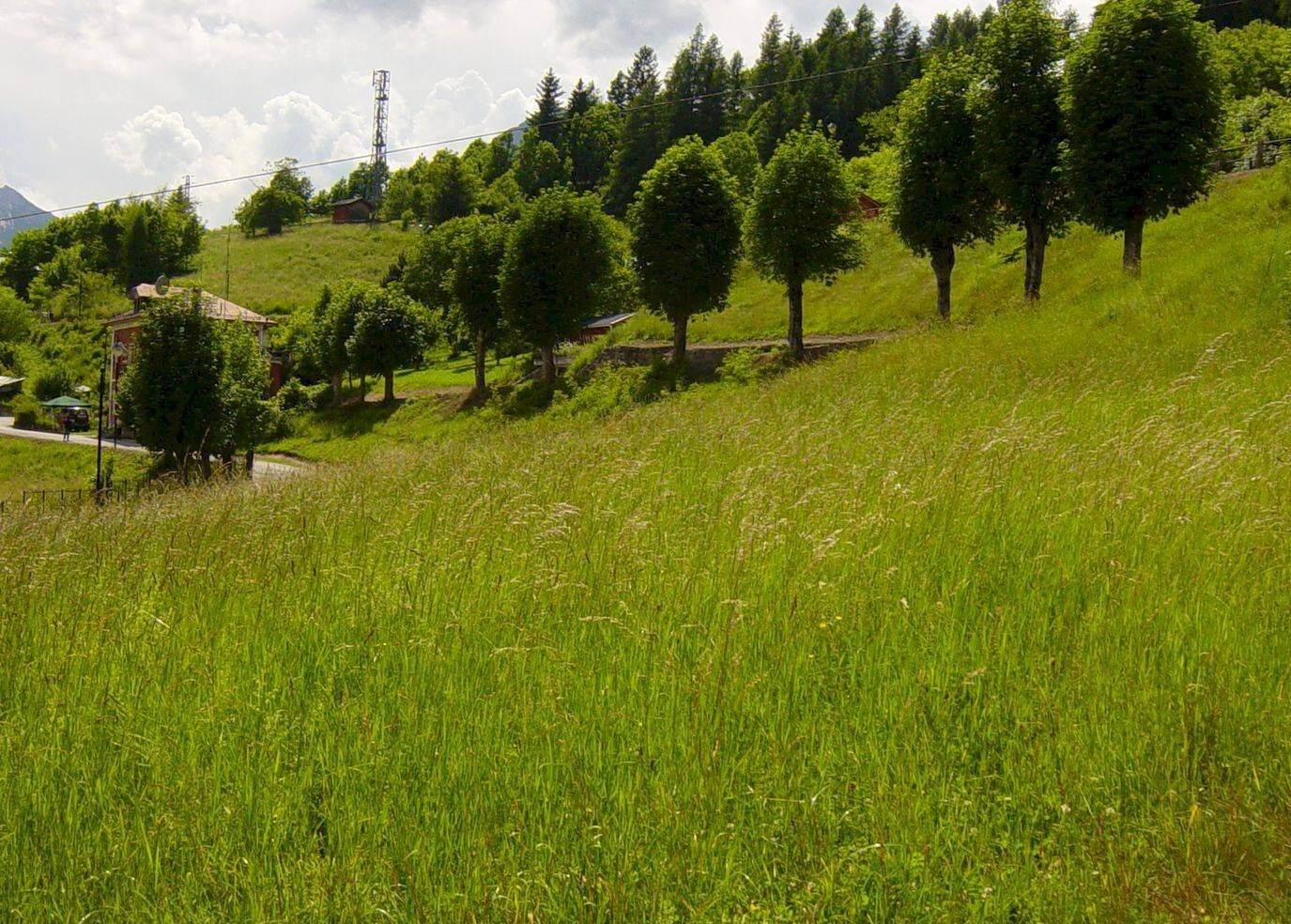 Terreno edificabile viale Dolomiti, Valle di Cadore - foto 2