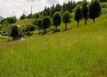 Terreno edificabile viale Dolomiti, Valle di Cadore - foto 2