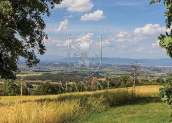 Rustico località sant' ansano, Torrita di Siena - foto 16