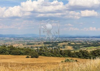 Rustico località sant' ansano, Torrita di Siena - foto 17