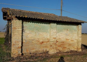 Terratetto - Terracielo Ravenna (zona Camerlona) - foto 3