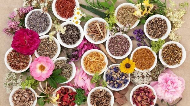 Commercial Activity piazza San Secondo, Asti - photo 1