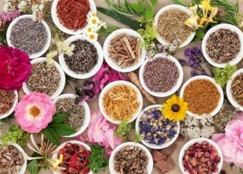 Commercial Activity piazza San Secondo, Asti - photo 1